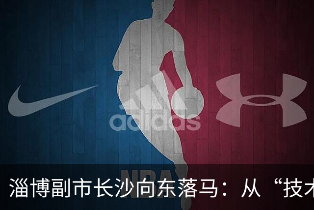 淄博副市长沙向东落马：从“技术型”干部到任上被查的警示